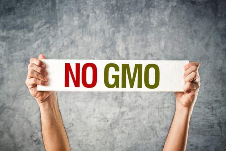 no-to-gmos-what-does-non-gmo-mean-martindale-s-natural-market