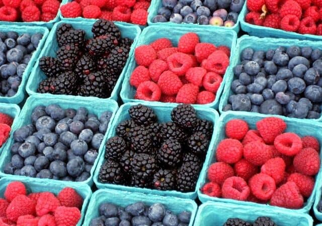 organic blue berries, organic raspberries