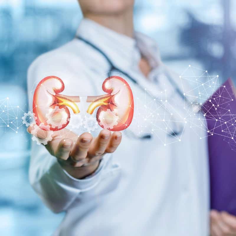 Niacinamide for Kidney Health