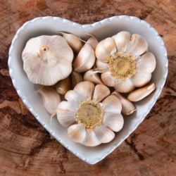 garlic contributes to cardiovascular wellness